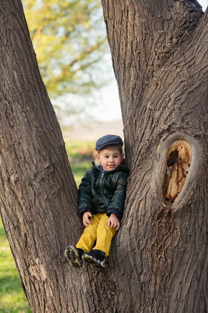 坐在树上图片下载