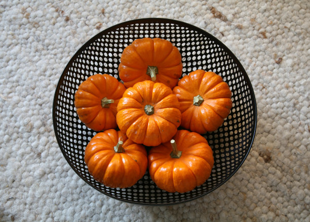 迷你南瓜在碗里图片下载