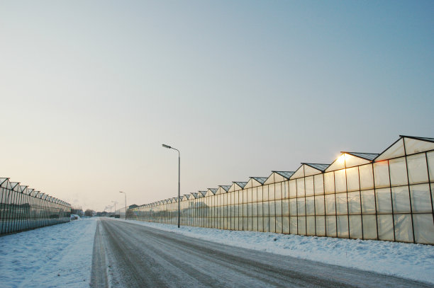 冬季温室图片下载