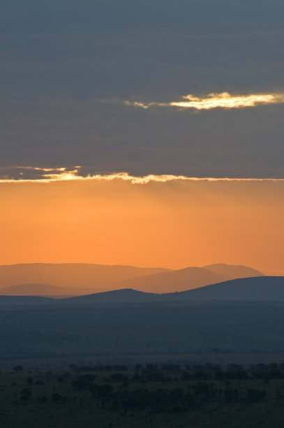 塞伦盖蒂图片下载