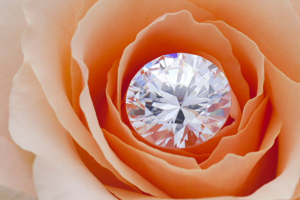 钻石和玫瑰图片下载