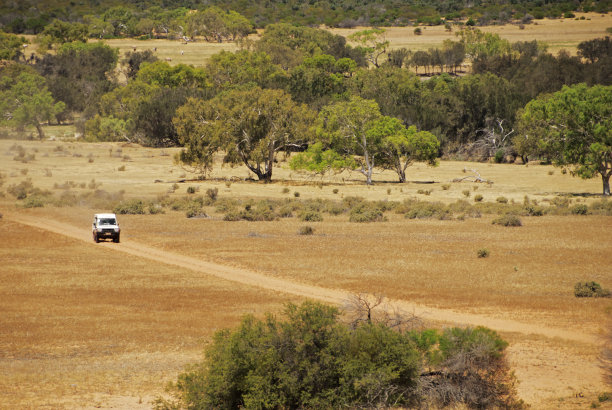 在澳大利亚内陆开车图片下载