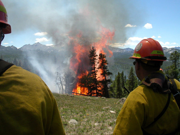 在怀俄明看着一棵树燃烧图片下载