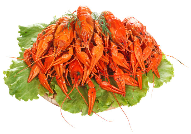 白底水煮小龙虾图片下载