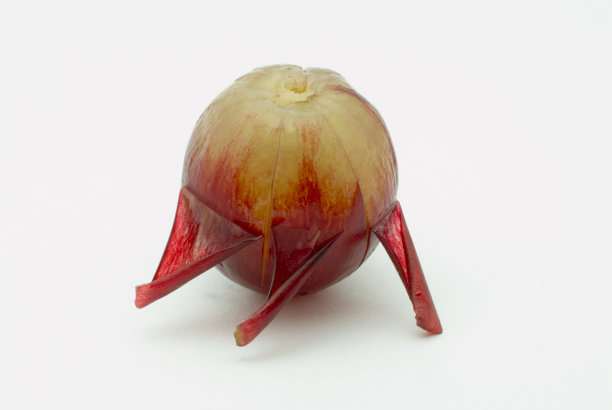 孤独的去皮葡萄图片下载