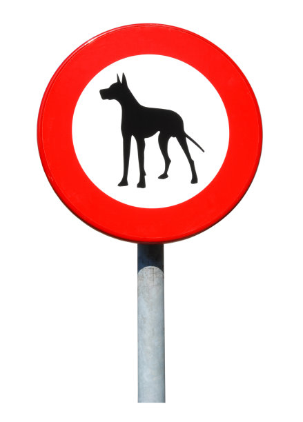 狗禁止图片下载