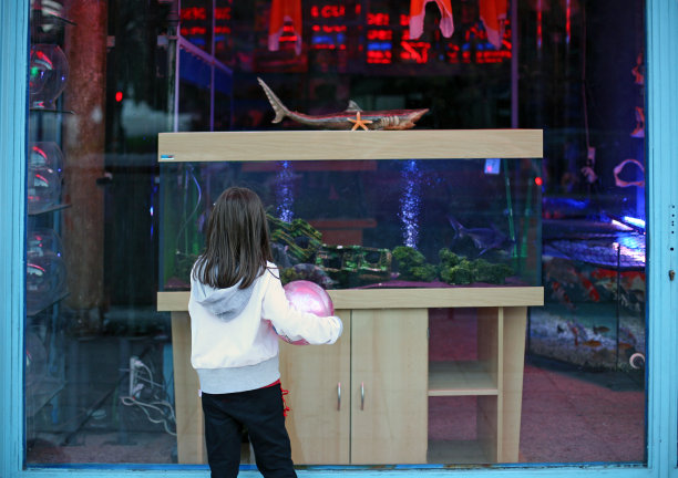 水族馆的粉丝图片下载