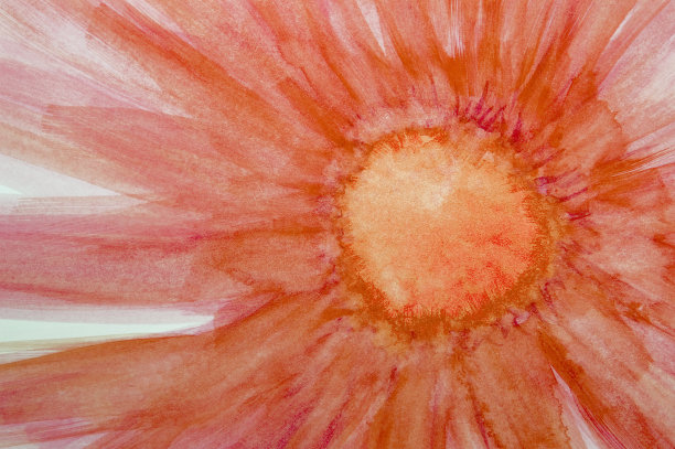 鲜艳的红色和粉红色水彩花。图片下载