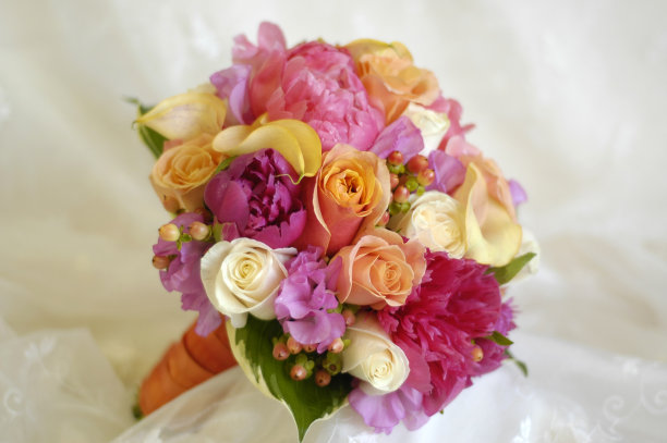 新娘Bouqet图片下载