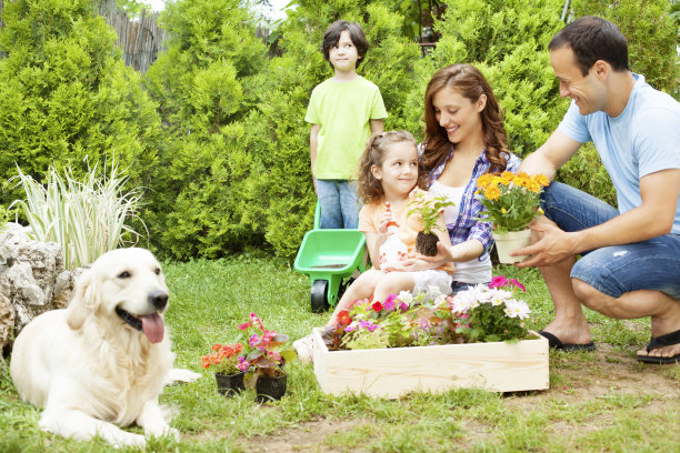 家庭园艺一起。图片下载