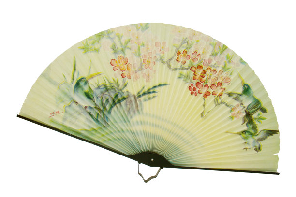 中国的粉丝图片下载