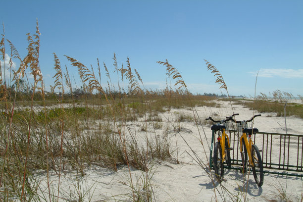 沙滩自行车图片下载