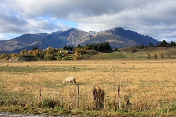 新西兰的农场图片下载