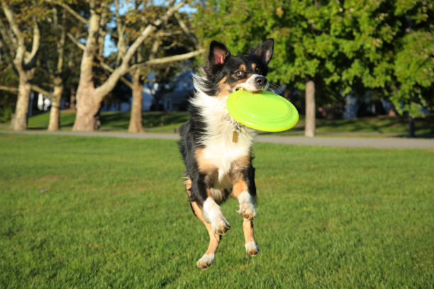 《看着你》图片下载