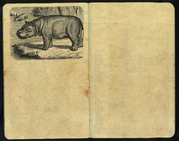 大有希望的人速写本图片下载