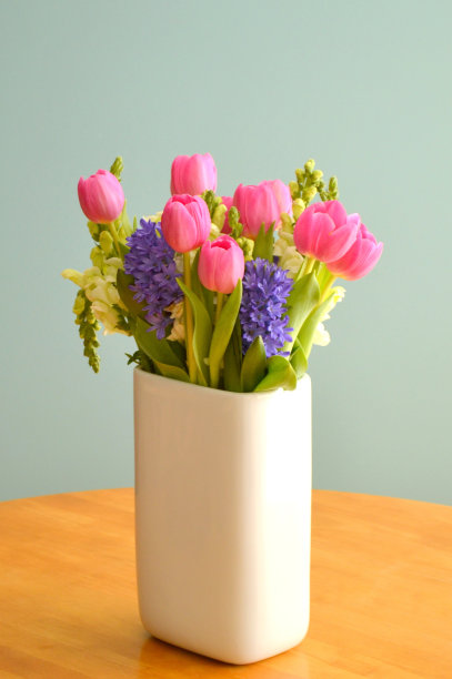 粉色郁金香，白色花瓶，绿色背景图片下载