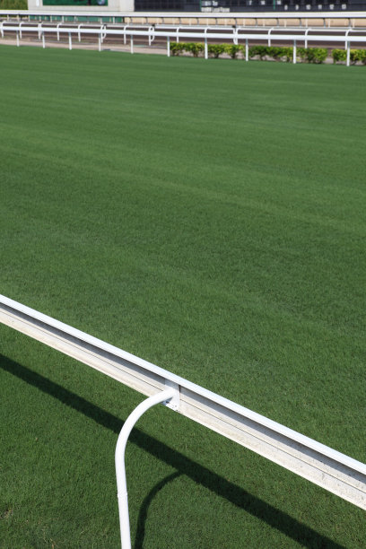 赛马场(XXXL)图片下载