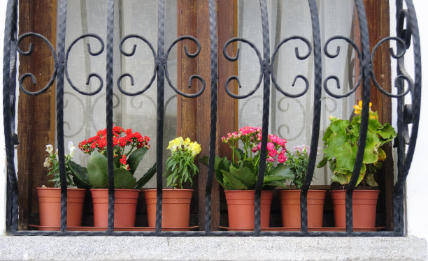 窗户和花盆图片下载