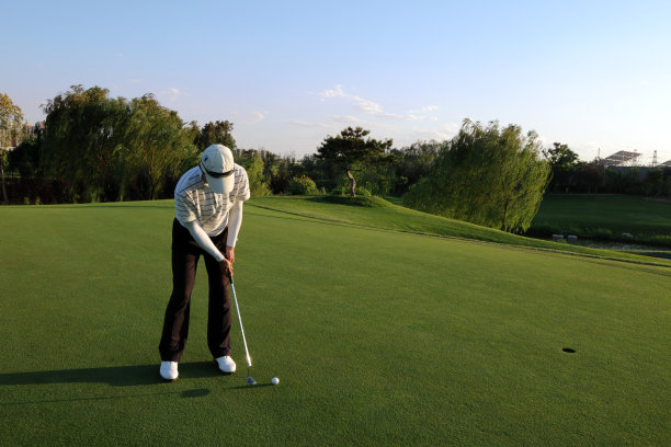 高尔夫球手推杆- XLarge图片下载