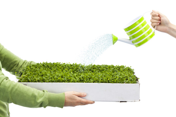 走绿色图片下载