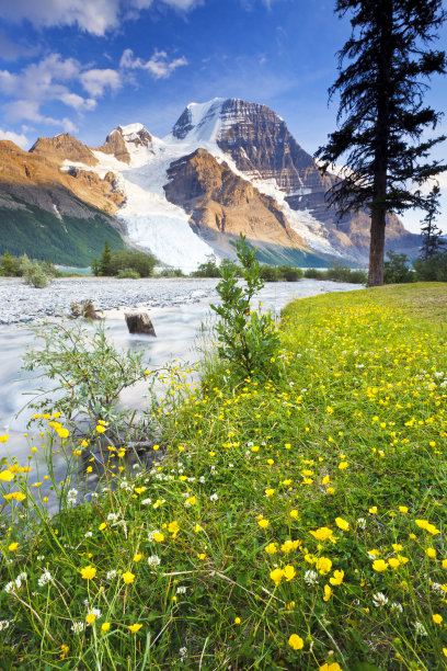 罗布森山和梅多素材图片