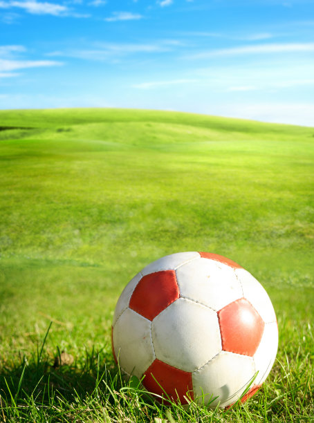 足球在绿草如茵的景观上图片下载