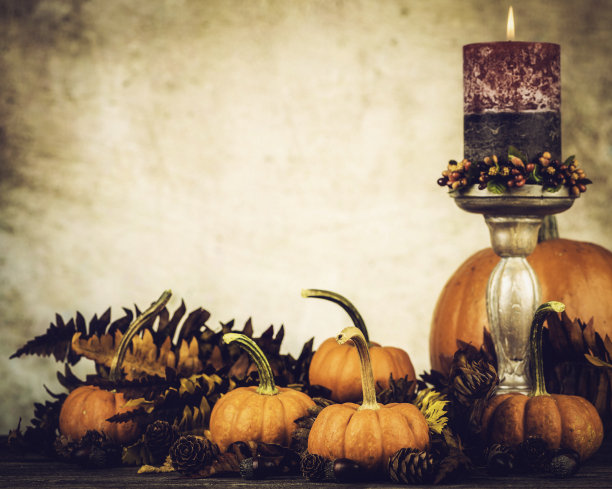 秋天的感恩节的安排图片下载