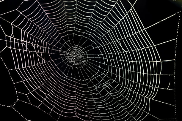 蜘蛛网的背景。XXXL图片下载