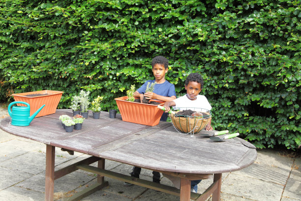 小男孩们在盆栽花图片下载