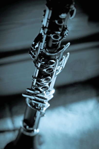 单簧管在站图片下载