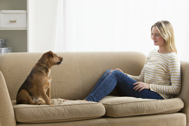 女孩和狗图片下载