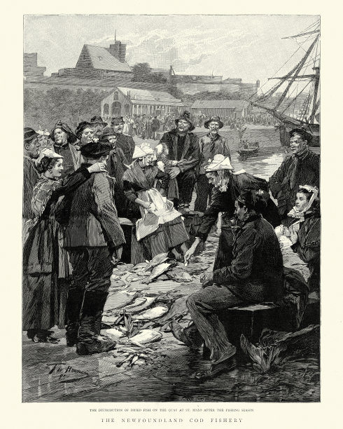 纽芬兰鳕鱼渔业-在圣马洛出售干鱼图片下载