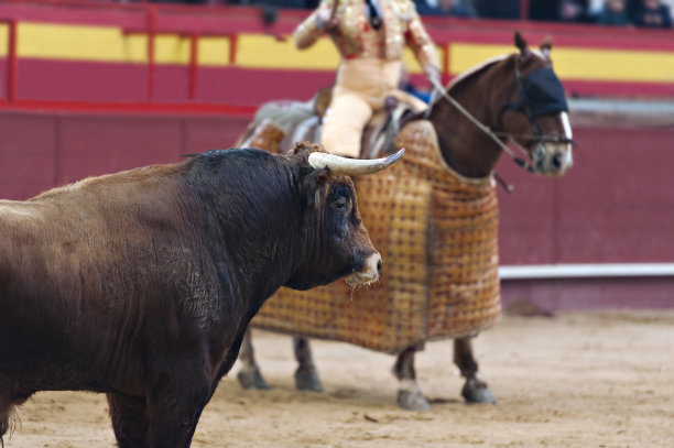 斗牛场。皮卡多尔图片下载