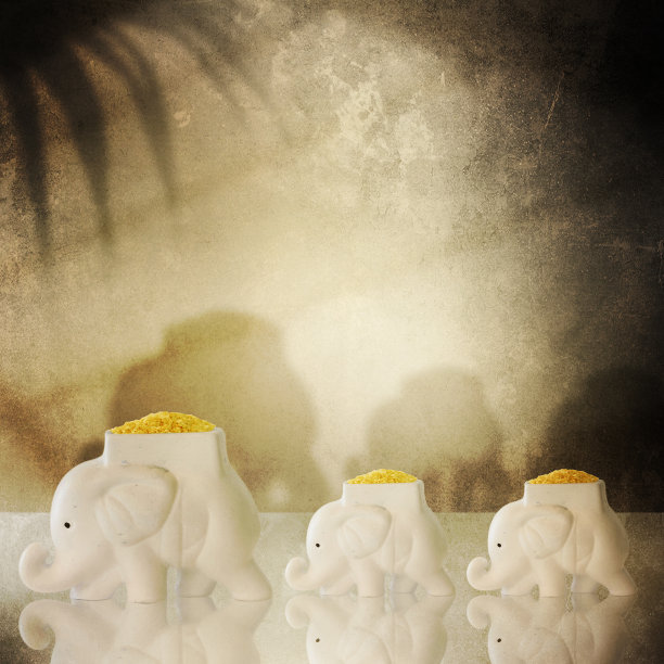 印度的风格。室内与大象图片下载