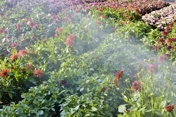 正式的花园图片下载