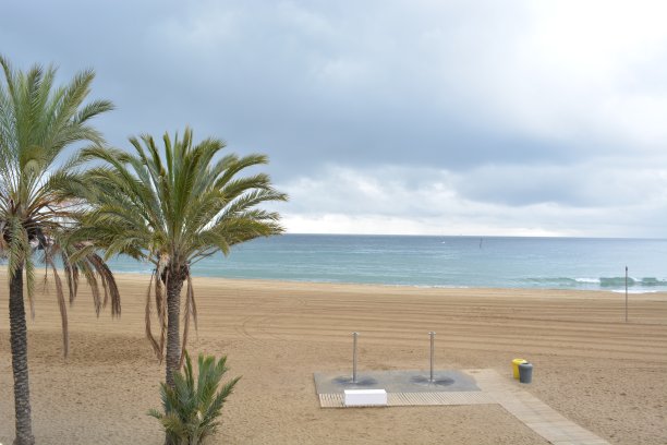 在巴塞罗那的海滩上图片下载