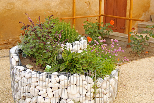 阳台上放着新鲜的香草图片下载