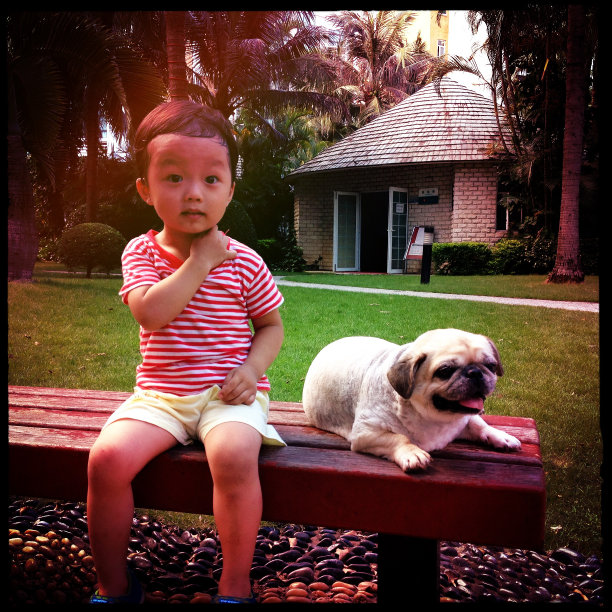 男孩和狗玩图片下载