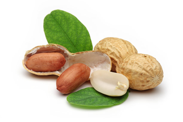 去壳的花生和叶子图片下载