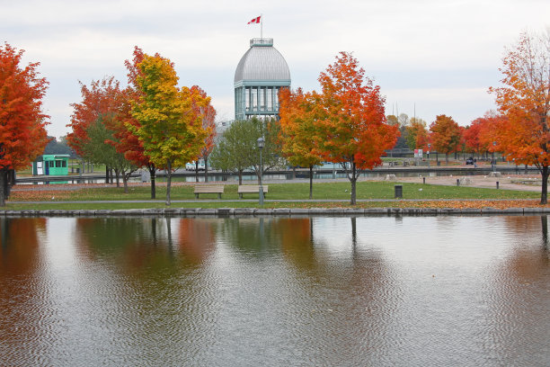 蒙特利尔(加拿大)秋色斑斓的树木图片下载