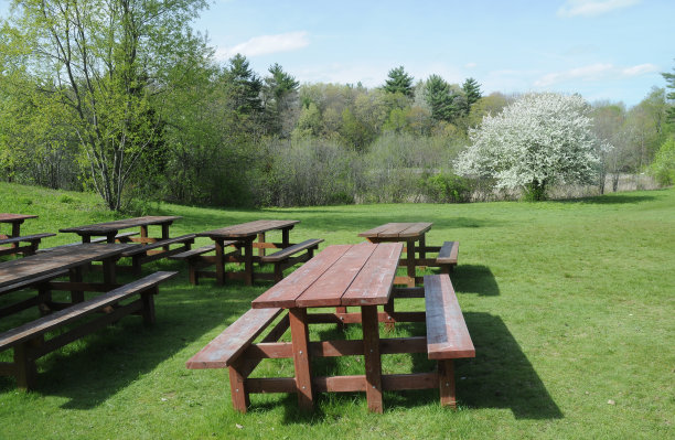 野餐领域图片下载