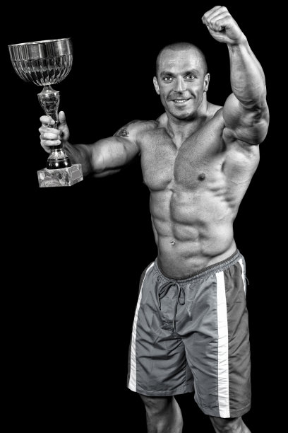 MMA冠军图片下载