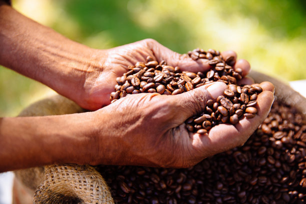 手握新鲜烘培的芳香咖啡豆图片下载