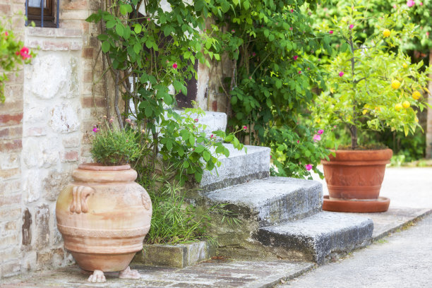 意大利托斯卡纳，被植物包围的楼梯图片下载