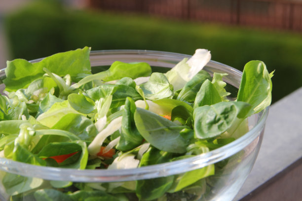 一碗新鲜的绿色沙拉图片下载