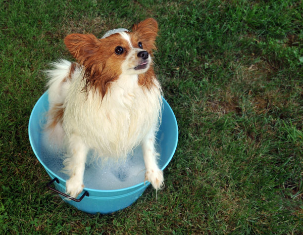 魔洗澡时间图片下载