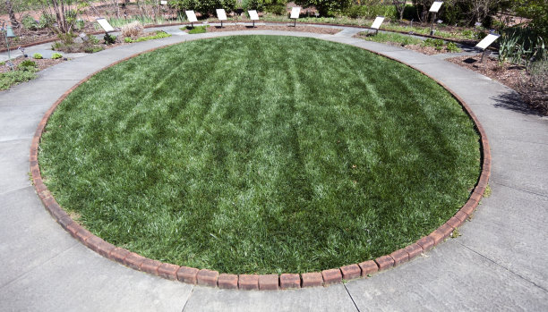 草坪上圈图片下载