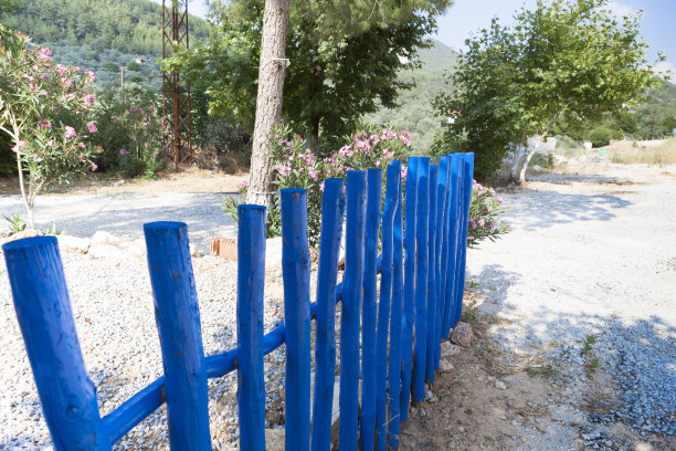 春天盛开的老人行道。图片下载