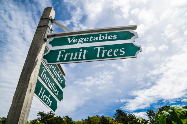 花园中心的路标图片下载