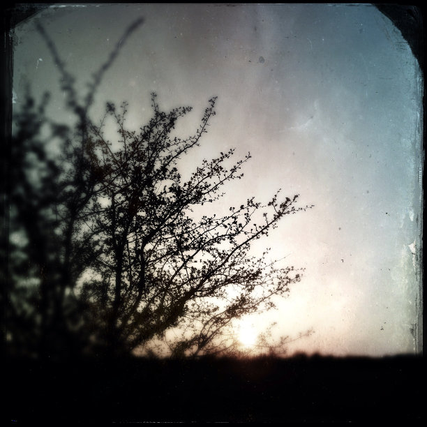 日落文摘图片下载